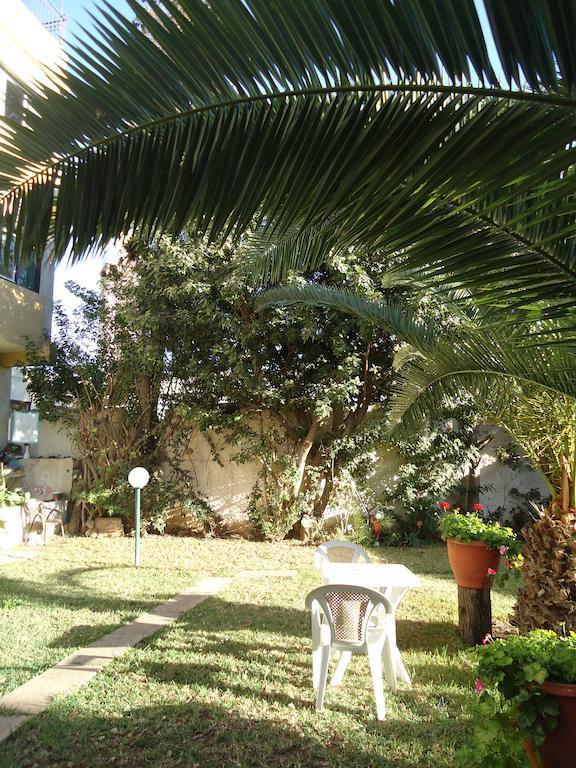 אגאדיר Takad Dream Studios חדר תמונה